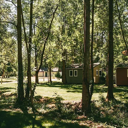 Chalet Family By